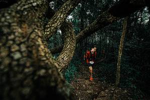 BIB: 
                            <button type="button" onclick="openModal(25694120)" class="btn btn-primary btn-sm float-right btn-popup" data-toggle="modal" data-target=".modal-high-quality">
                        <i class="fas fa-shopping-cart"></i> Add to Cart
                    </button>
                                            <button type="button" onclick="isThisMe(25694120, true)" class="btn btn-success btn-sm float-right btn-popup btn-isme hidden" data-toggle="tooltip" data-placement="bottom" title="นี่คือรูปของคุณใช่ไหม คลิกที่นี่เพื่อเอาเข้าอัลบั้ม">
                        <i class="fas fa-plus"></i> Add to album
                    </button>
                    <button type="button" onclick="isThisMe(25694120, false)" class="btn btn-warning btn-sm float-right btn-popup btn-isnotme hidden">
                        <i class="fas fa-ban"></i> Remove from album
                    </button>